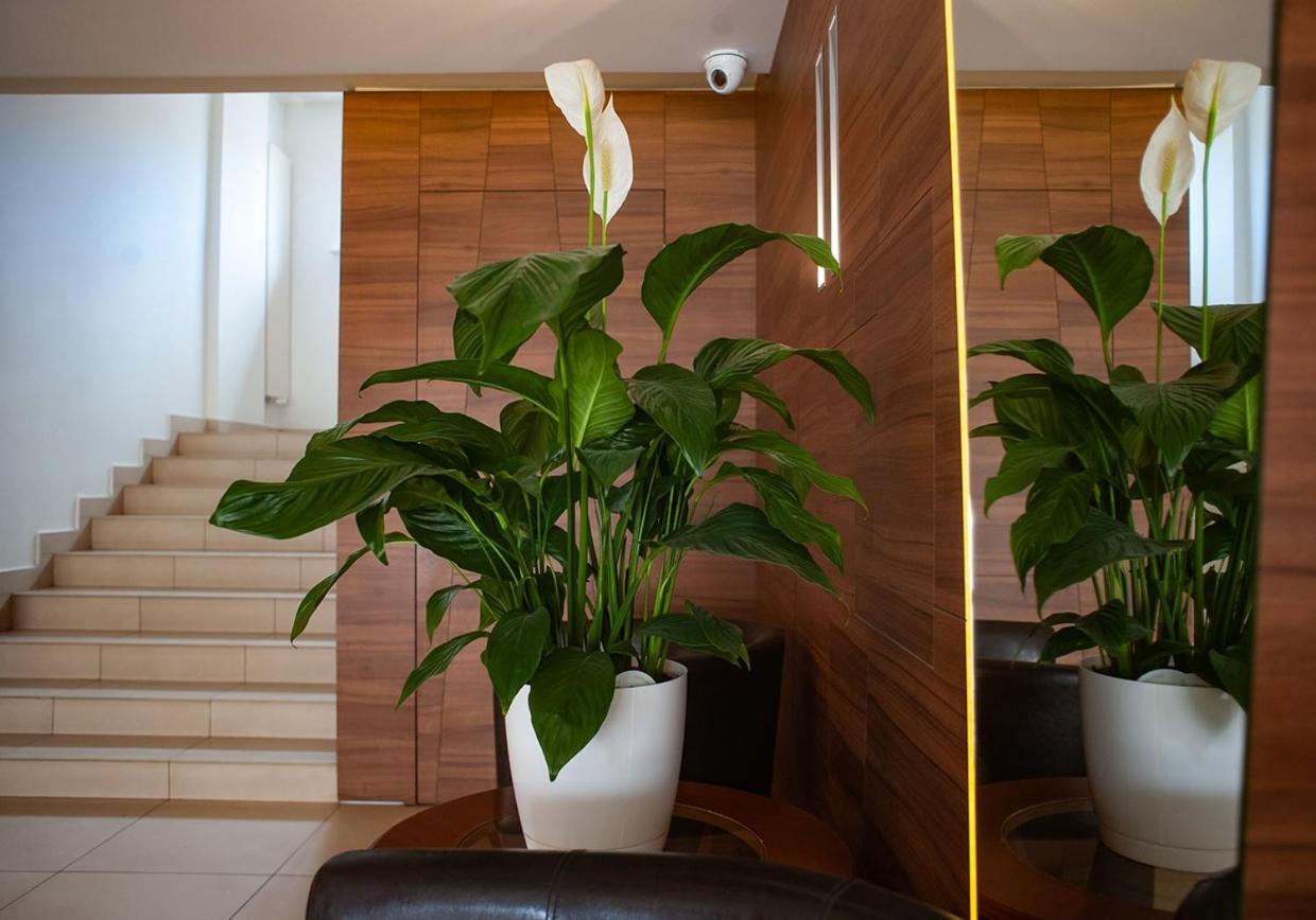Hotel Livia Воломин Екстериор снимка