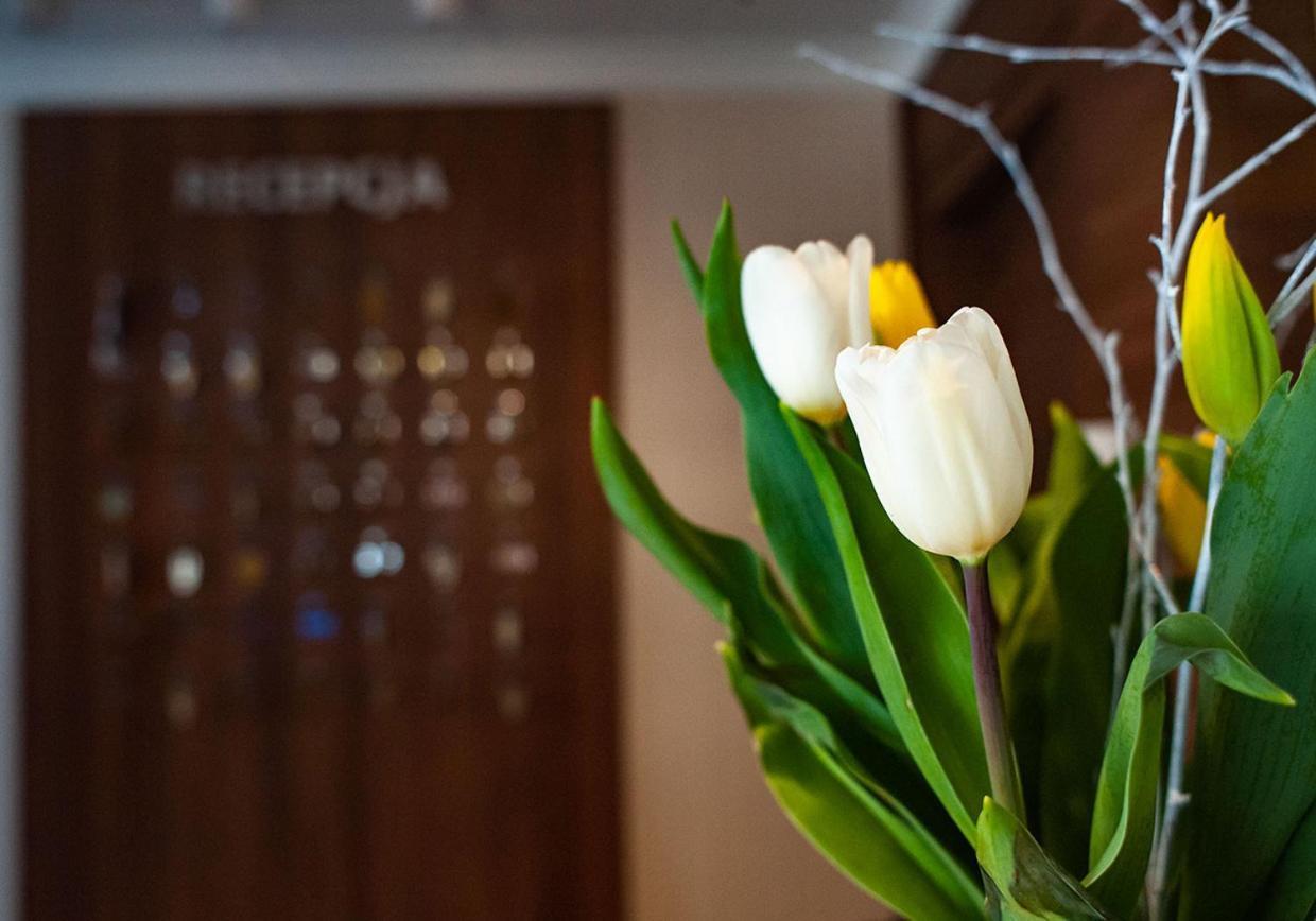 Hotel Livia Воломин Екстериор снимка